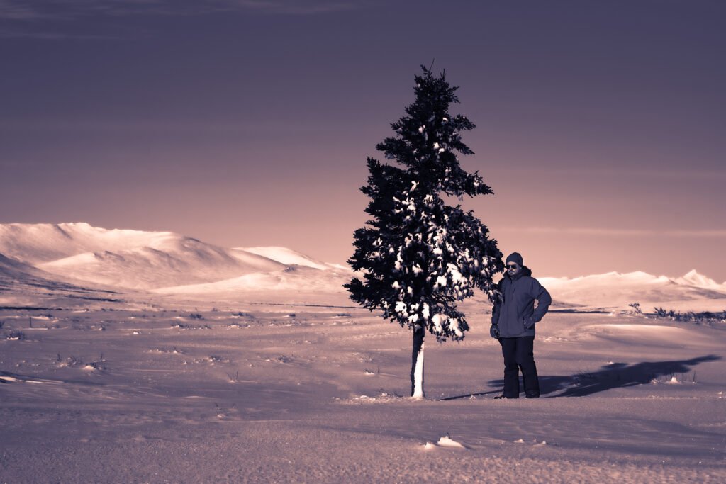 Photograph of Dr. Gustaveson by a lone pine tree in and arctic scene.
